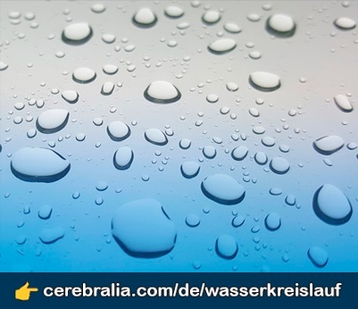 Der Wasserkreislauf Der Wasserkreislauf