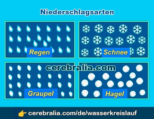 Die Niederschlagsarten Die Niederschlagsarten