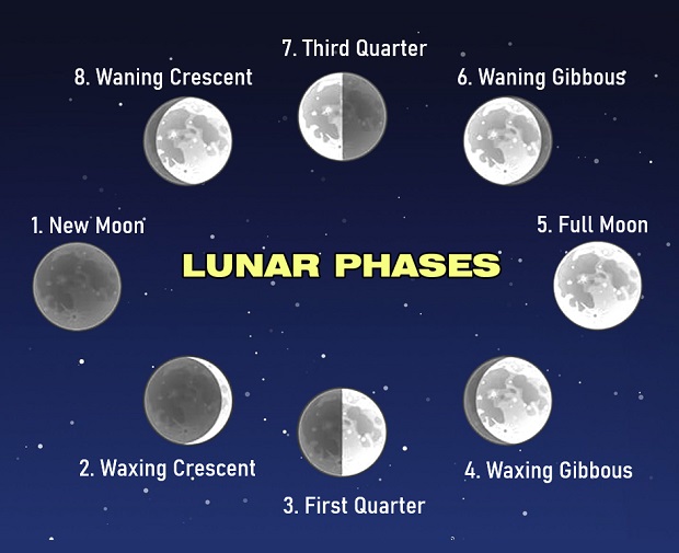 The Phases of the Moon The Phases of the Moon