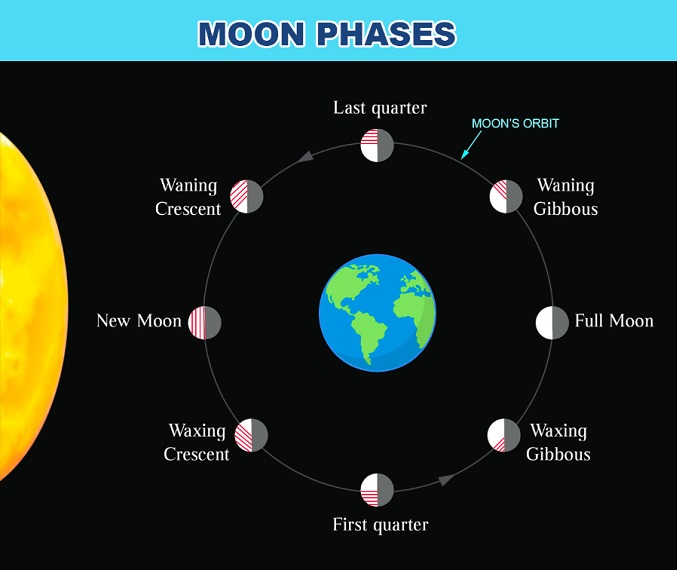 Moon Phases