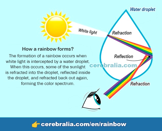 How are rainbows formed?