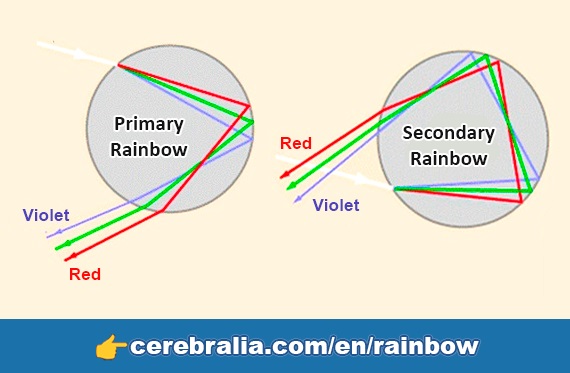 Primary and Secondary Rainbows