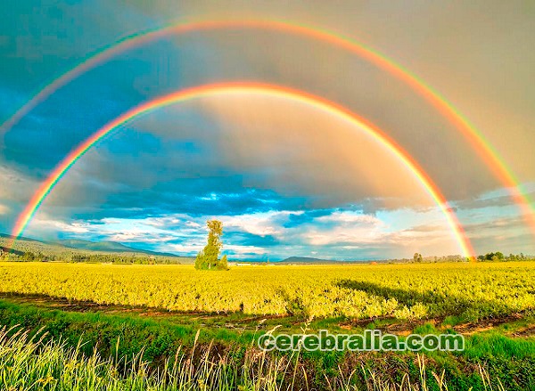 Double Rainbow