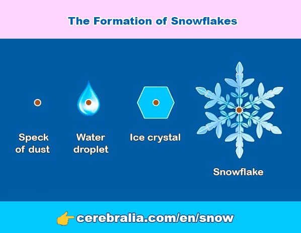 How does snow form?