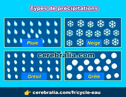 Types de précipitations