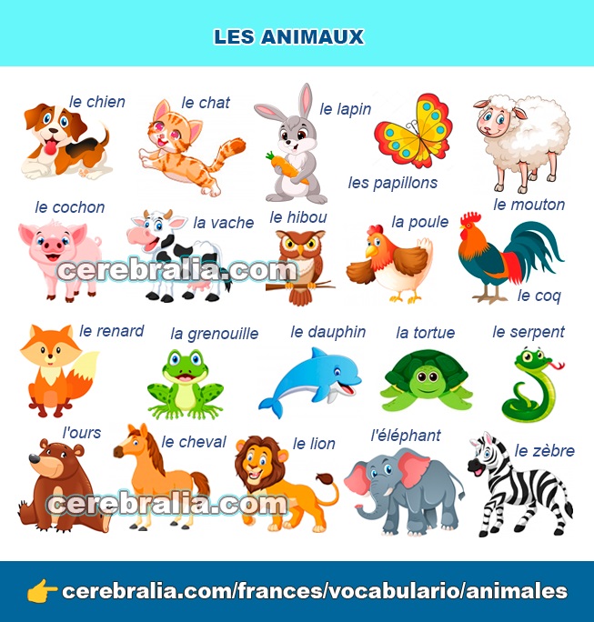 Los animales en francés