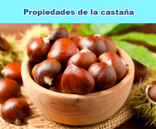 Propiedades de la castaña Propiedades de la castaña