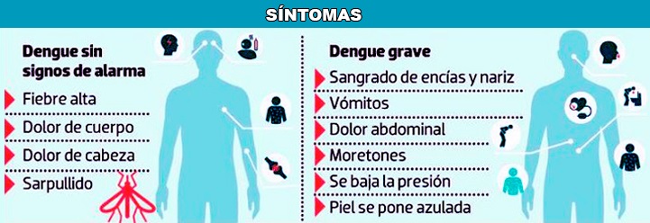 Síntomas del dengue