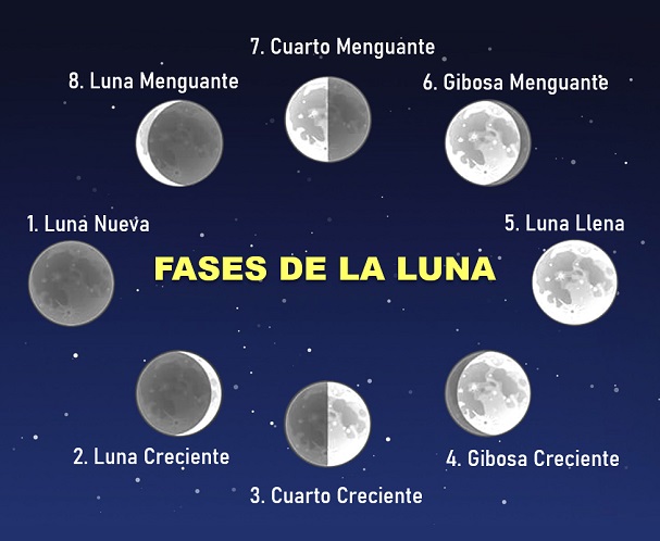Las Fases de la Luna Las Fases de la Luna