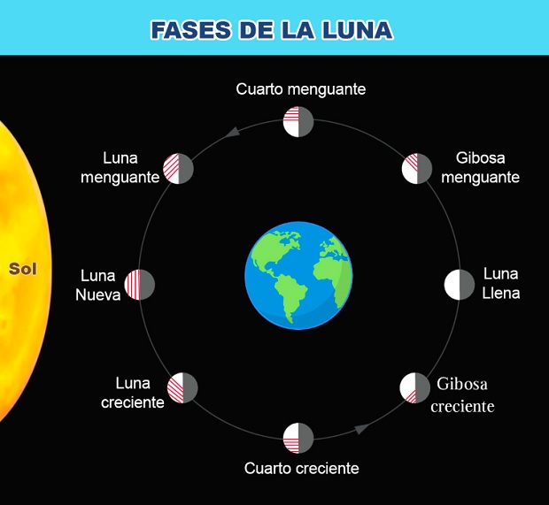 Fases de la Luna