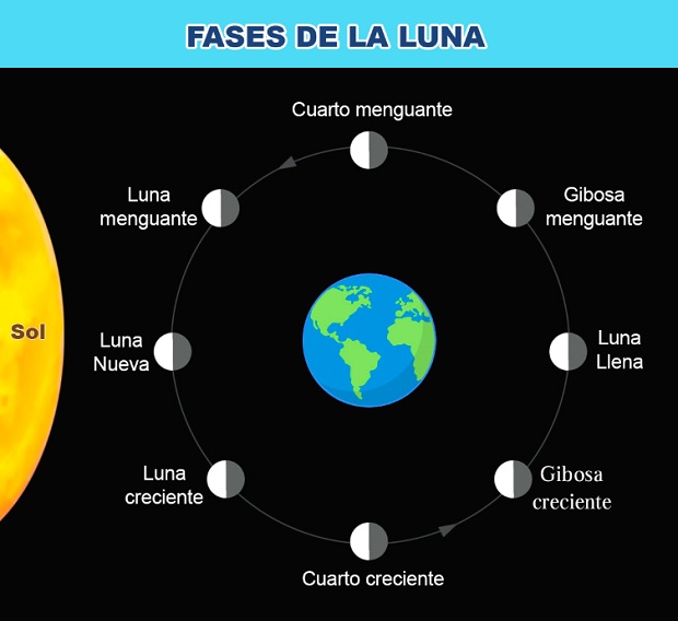 Fases de la Luna