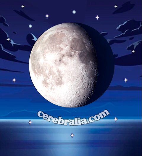 Waning Gibbous Waning Gibbous