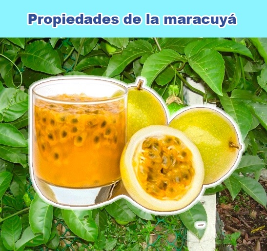 Propiedades de la maracuyá