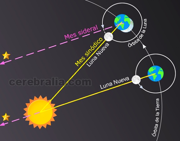 Mes sideral y sinódico