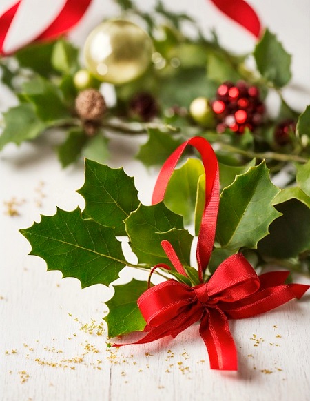 El muérdago en Navidad El muérdago en Navidad
