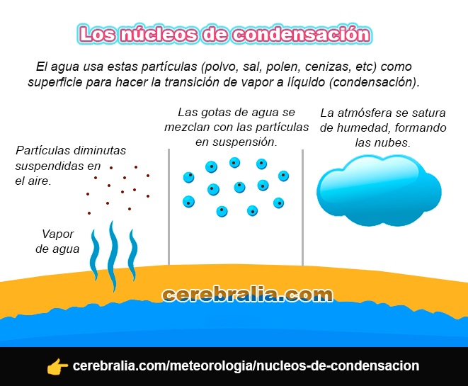 ¿Qué son los núcleos de condensación?