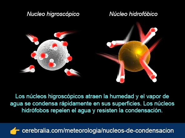 Los núcleos de condensación