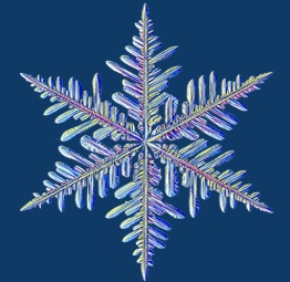 Snowflake Quiz