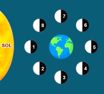 Cuestionario sobre las Fases de la Luna