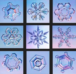 Snowflake Quiz