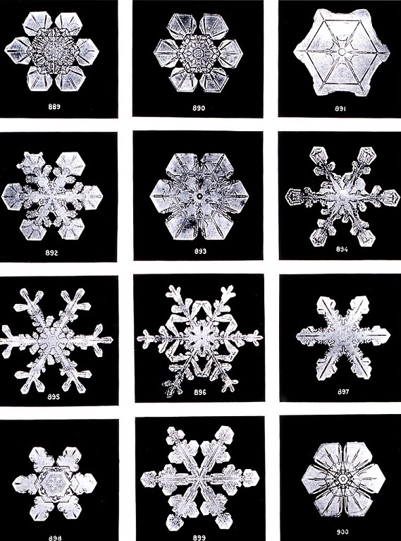 Fotografías de copos de nieve hechas por Wilson Bentley