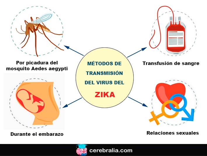 Métodos de transmisión del Zika