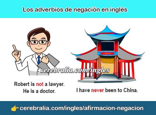 Los adverbios de negación en inglés
