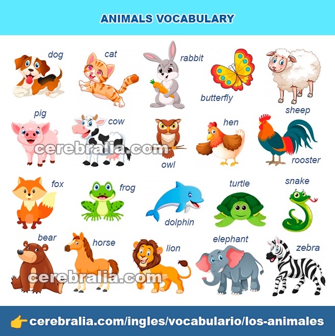 Los Animales en inglés