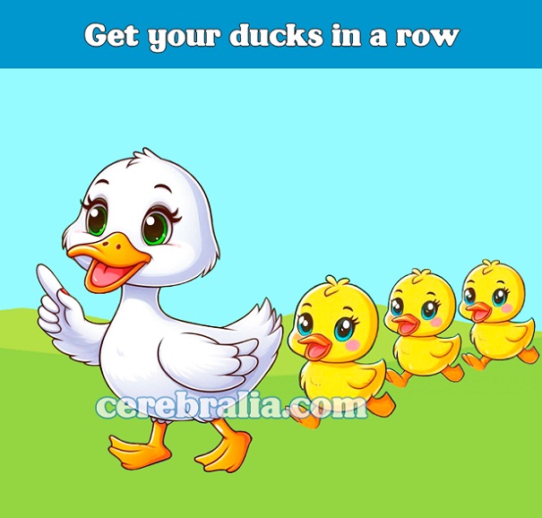 Get your ducks in a row