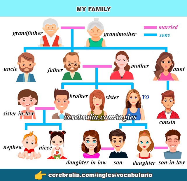 La Familia en inglés
