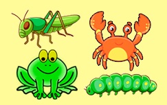 Quiz de los invertebrados en portugués