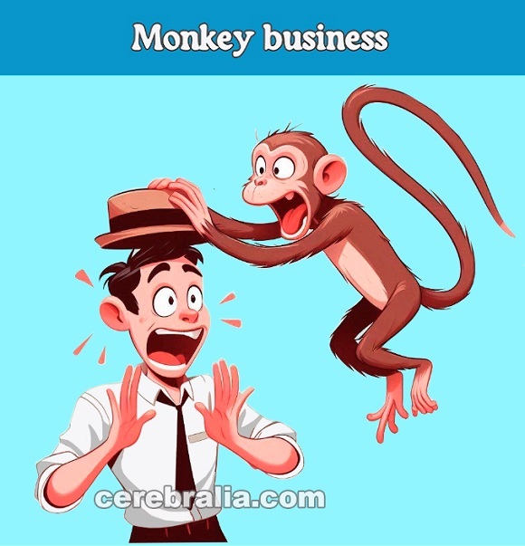 Monkey business