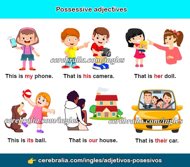 Los adjetivos posesivos en inglés