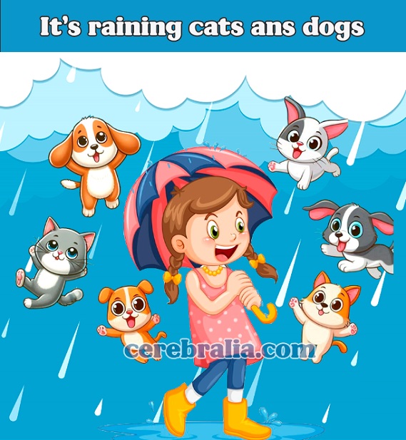 It's raining cats and dogs