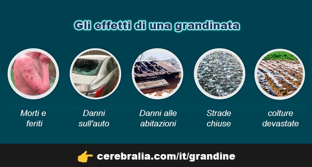 Gli effetti di una grandinata