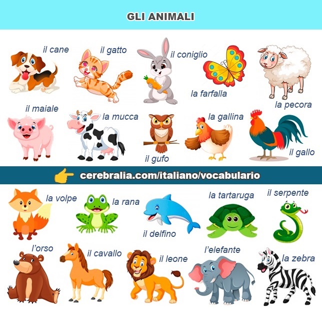 Los animales en italiano