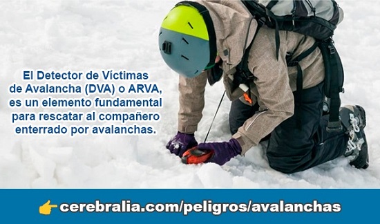 ARVA para avalanchas