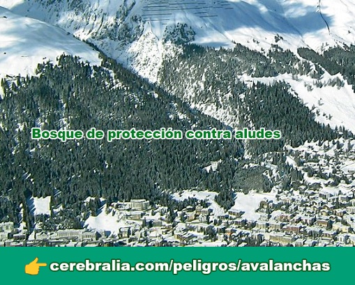 Protección contra aludes