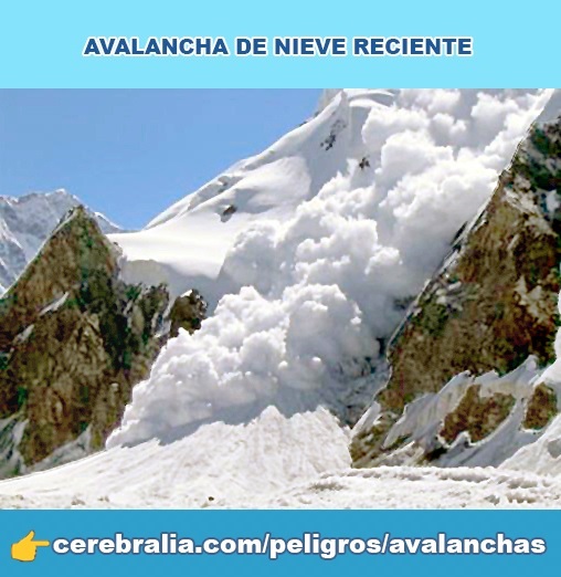 Avalancha de nieve reciente