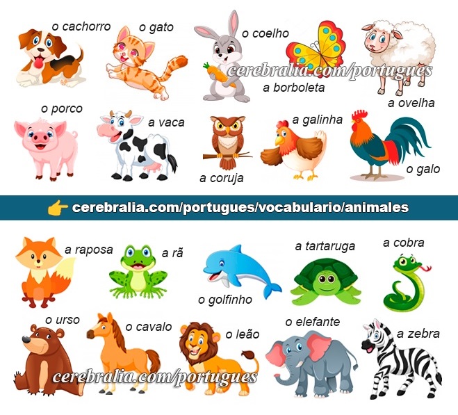 Los animales en portugués