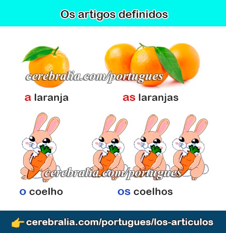 Los artículos en portugués