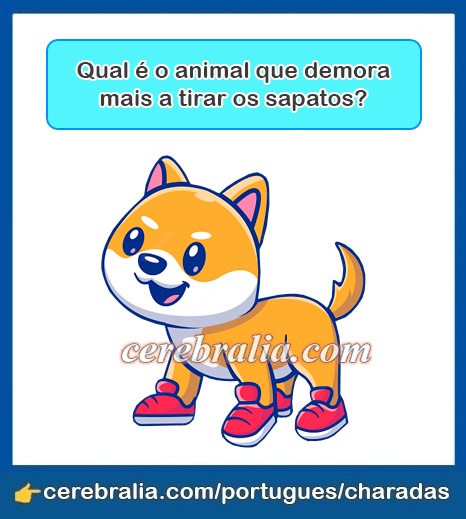 Qual é o animal cuja espécie o macho tem duas fêmeas? - Charada e Resposta  - Geniol