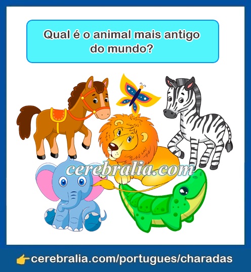 Adivinhas em português