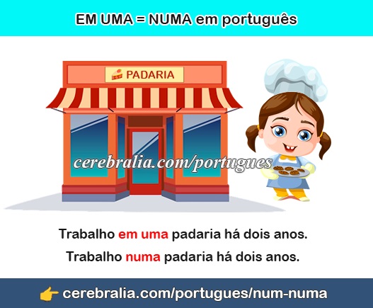 Cómo usar NUMA en portugués