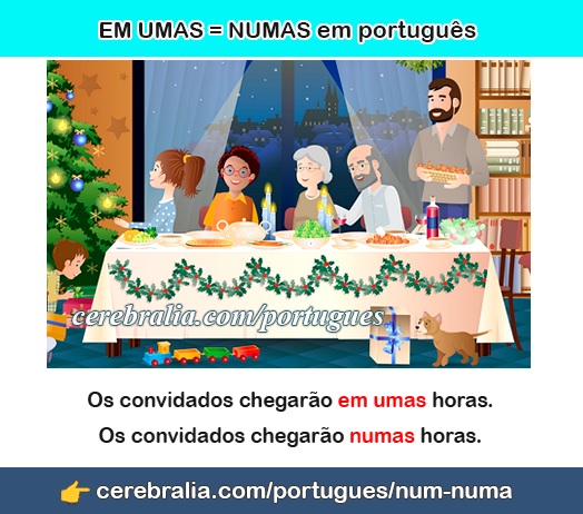 Cómo usar NUMAS en portugués