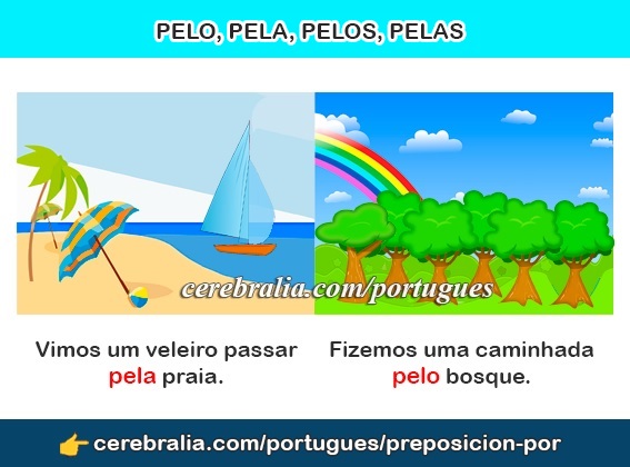 Cómo usar PELO, PELA, PELOS, PELAS en portugués