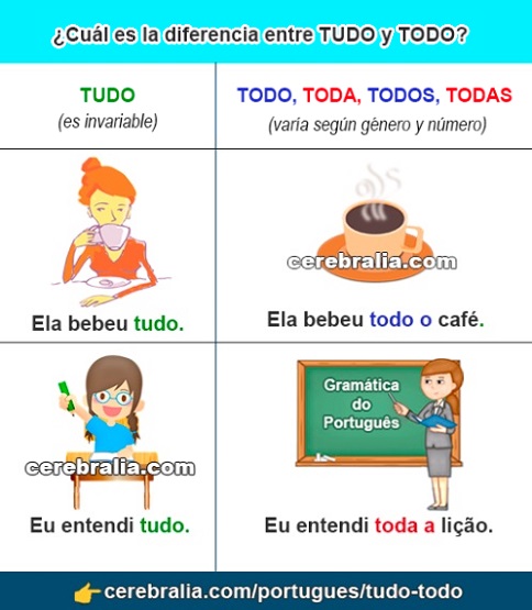 Diferencia entre TUDO y TODO en Portugués