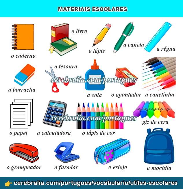 Los útiles escolares en portugués