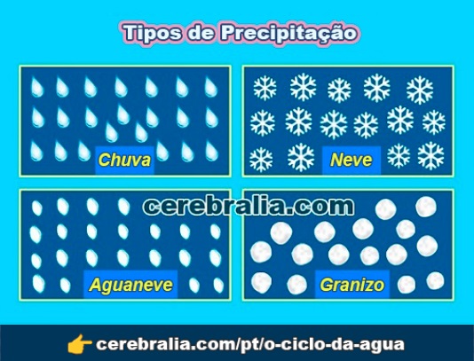 Tipos de precipitação