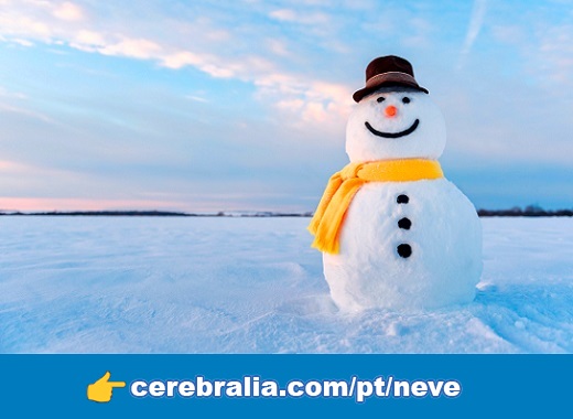 Boneco de neve